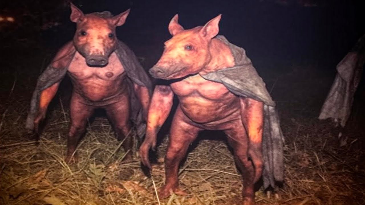 Top 20 Crossbreeding Experiments That Went Horribly Wrong