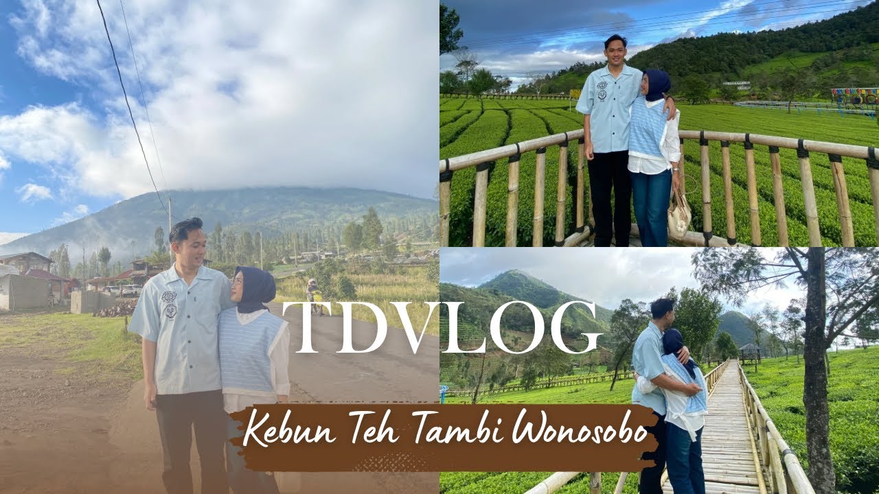 Kebun Teh Tambi Wonosobo🍃