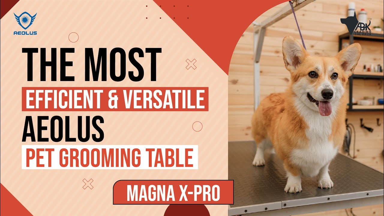 Unboxing the most efficient and versatile Aeolus Pet Grooming Table for professional dog groomers