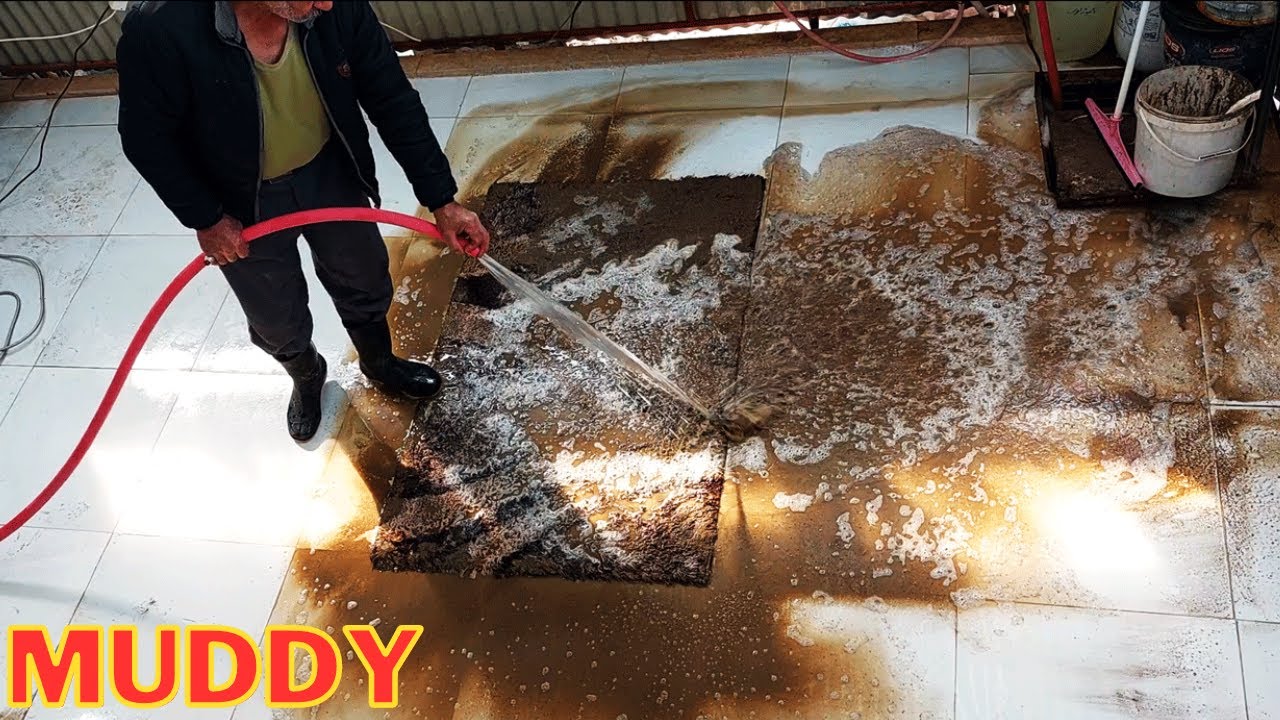 Incredible before and after of a flooded muddy carpet cleaning satisfying