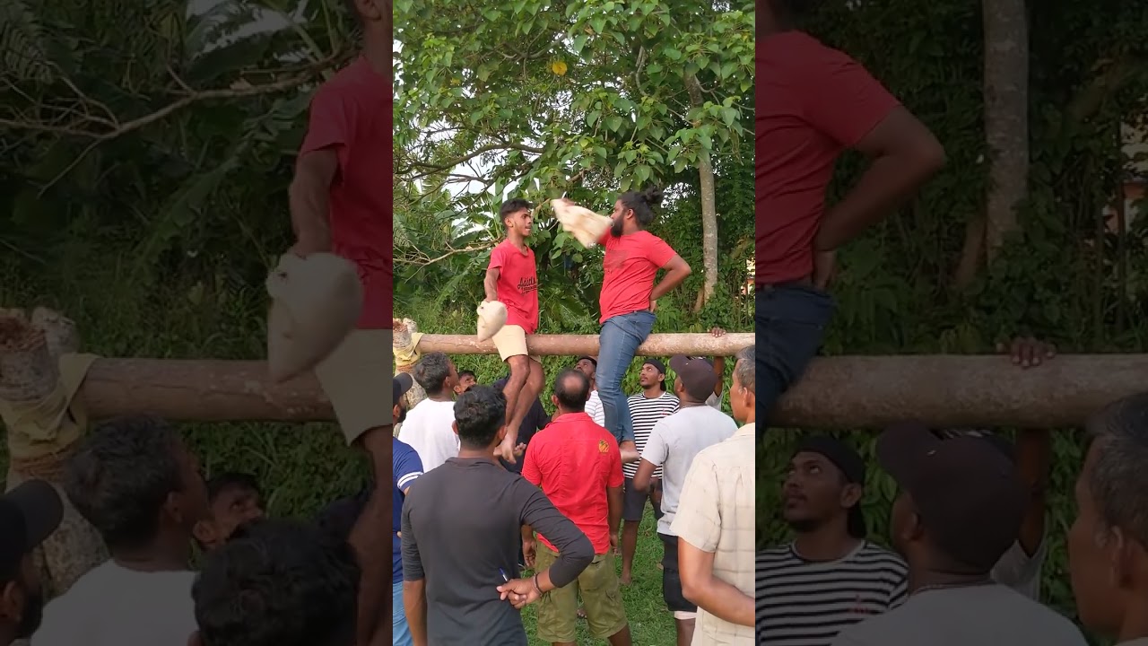 Pillow Fight #youthful #viral #sports #satisfying