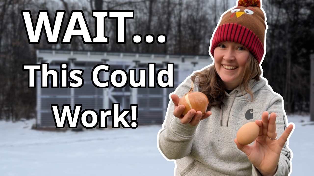 Can We Feed Our Family Of Five From Our Backyard?!