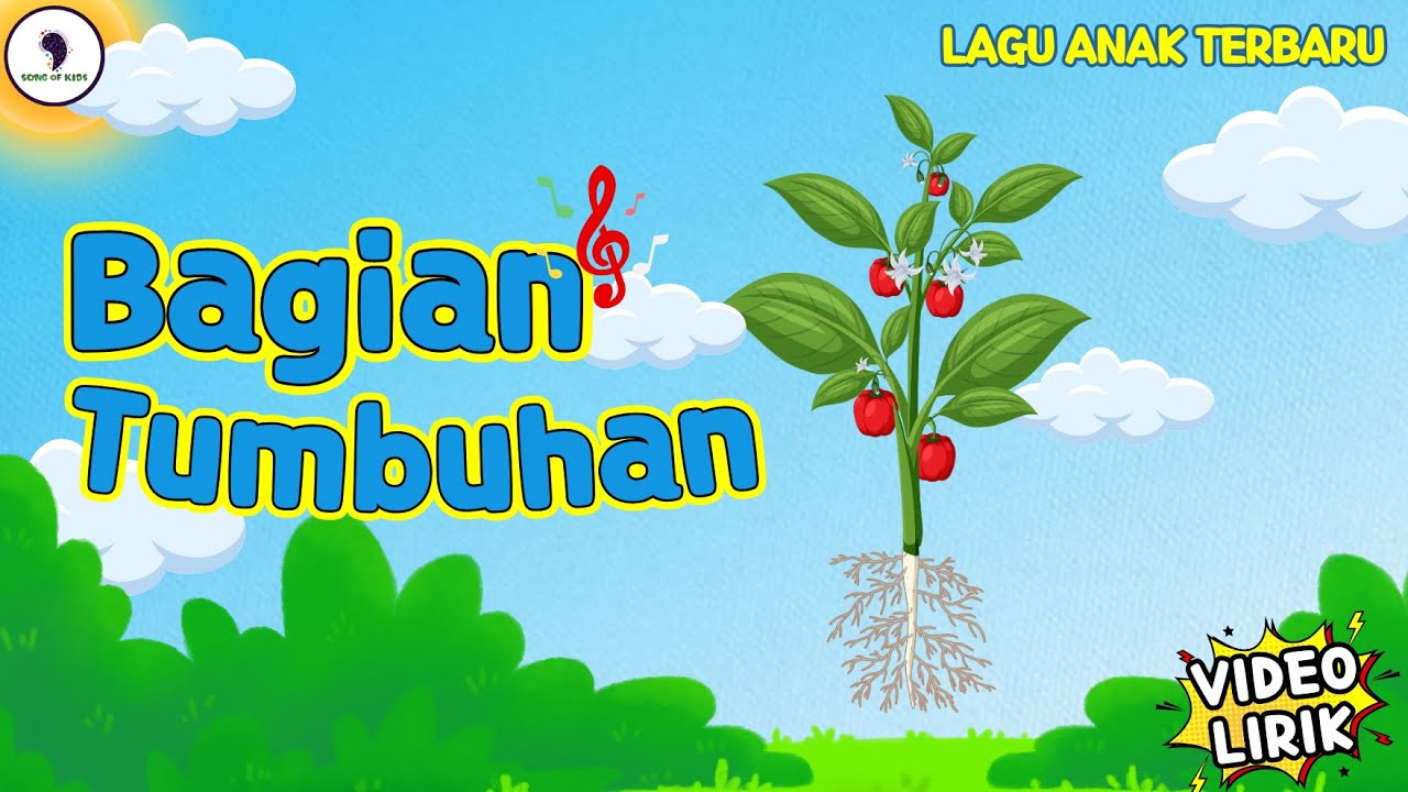 Lagu Bagian Tumbuhan 🌳 - Lagu Anak Terbaru (Video Lirik) Song of Kids