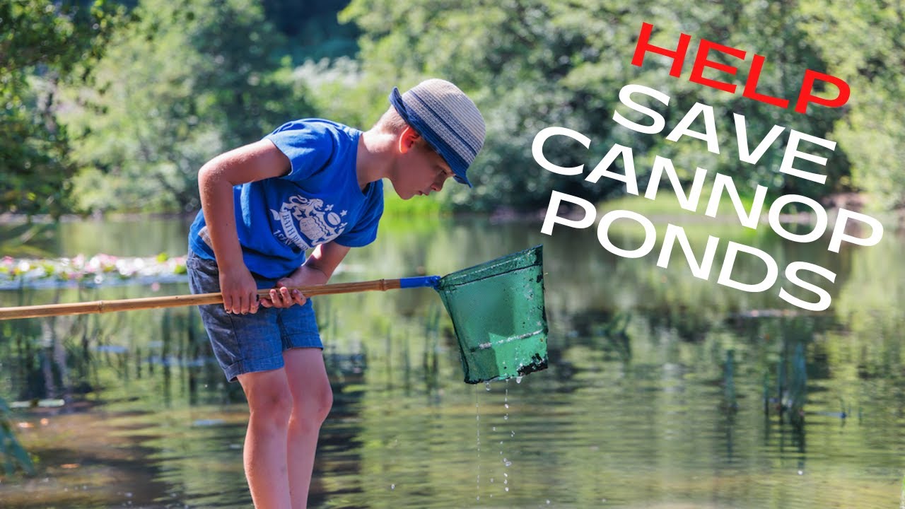 HELP SAVE CANNOP PONDS - Carp Fishing