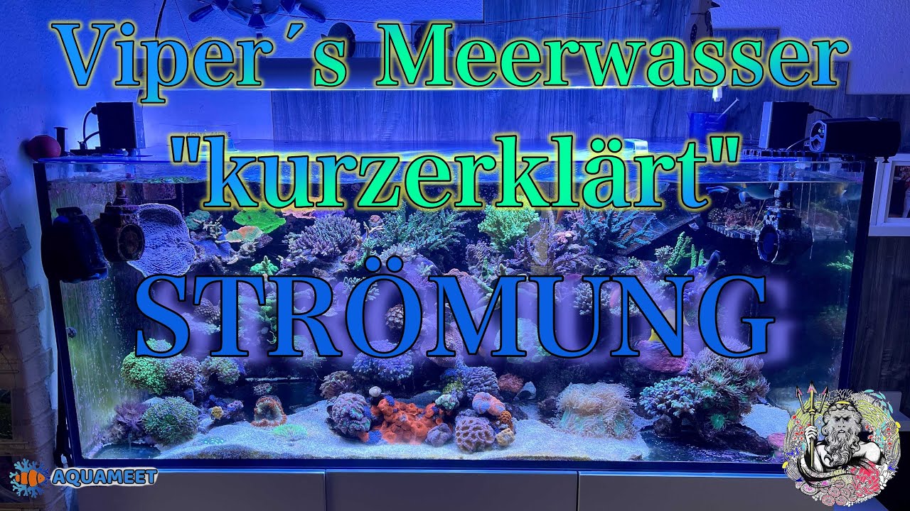 kurzerklärt Strömung