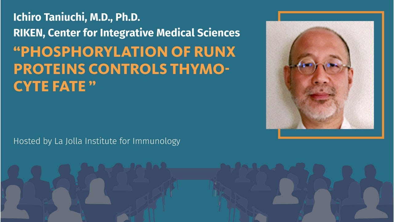 Phosphorylation of Runx proteins controls thymocyte fate - Ichiro Taniuchi, M.D., Ph.D.