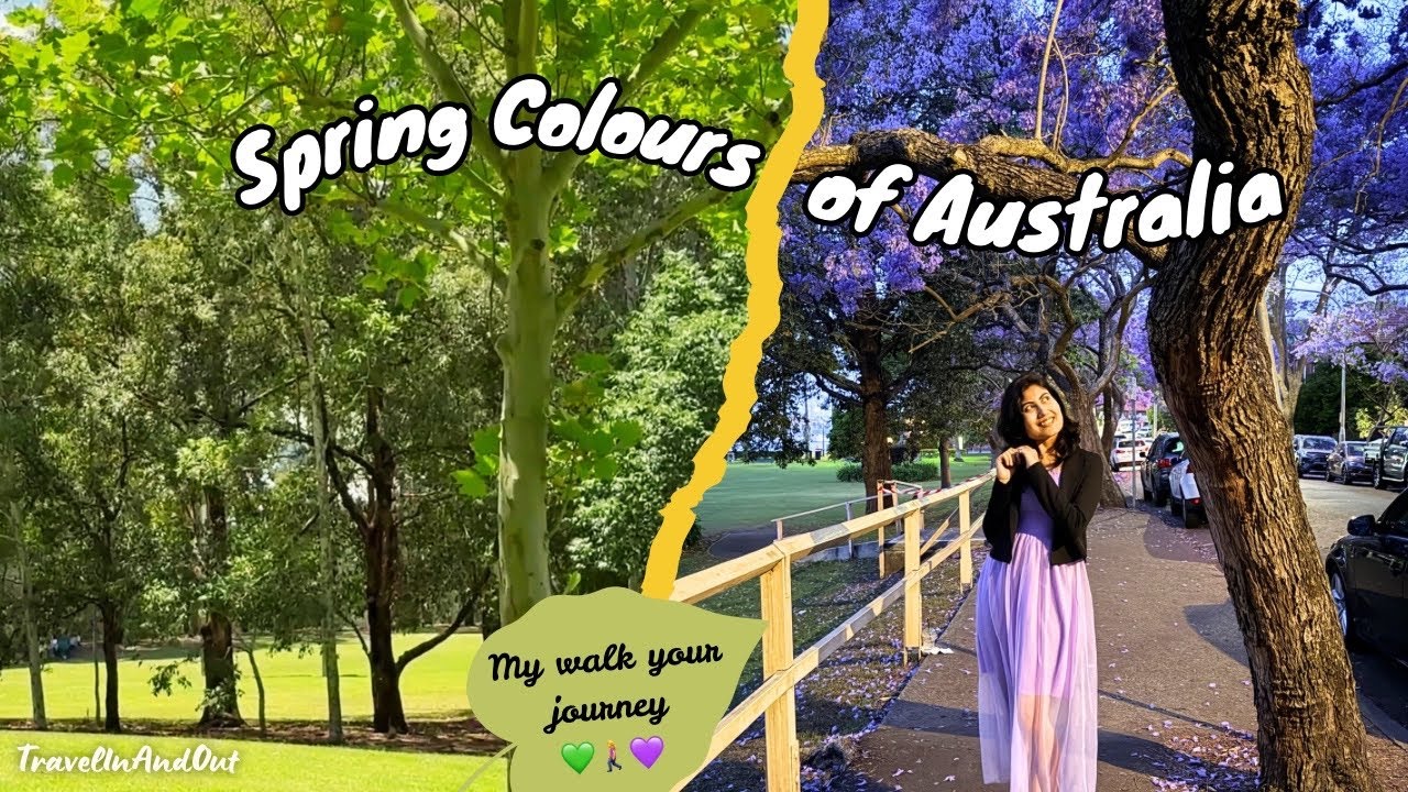 Spring Trails in Australia | Green Calm & Purple Bloom Walk
