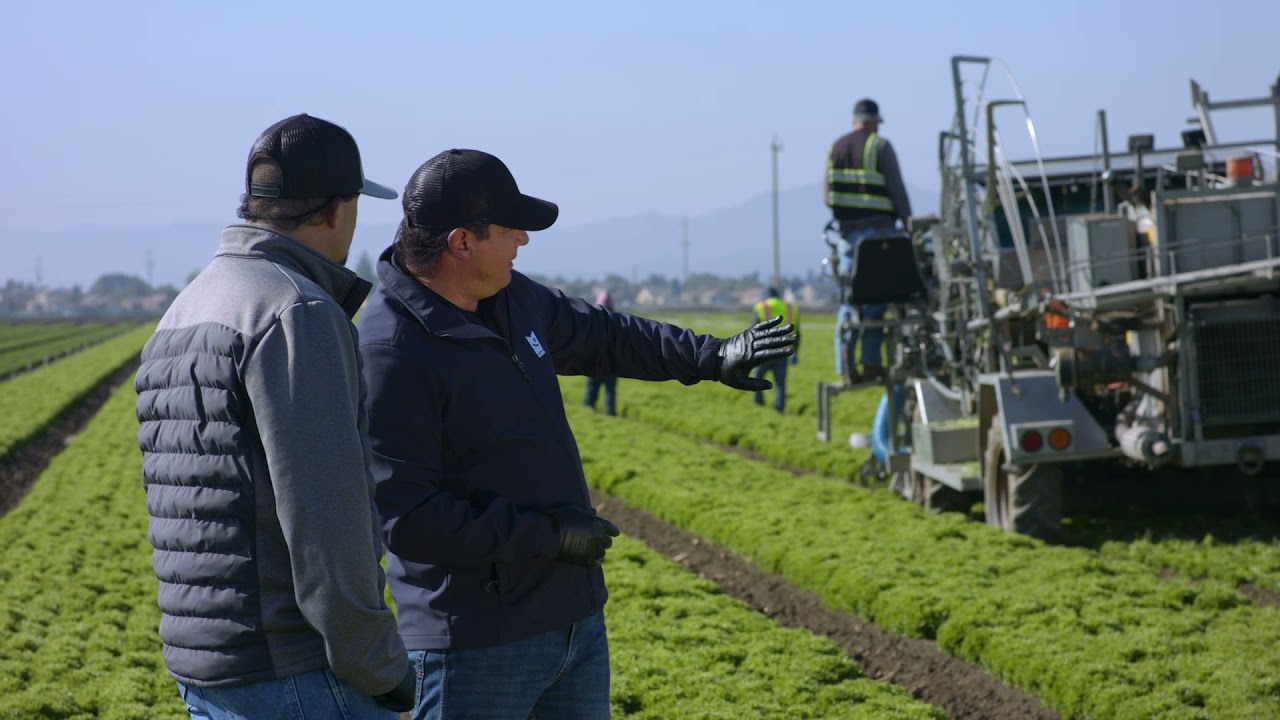 Redefining Fresh, Together: Markon Overview
