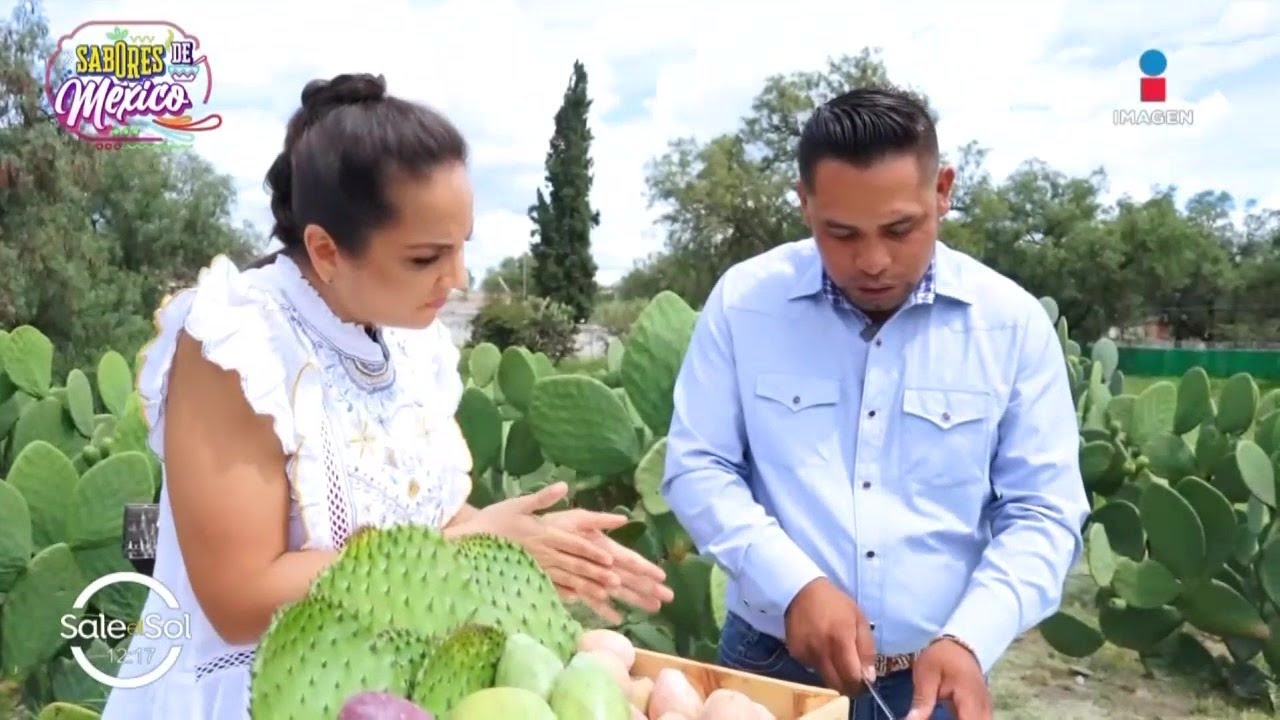 Tunas: De dónde vienen, colores, tipos y sabores | Sabores de México