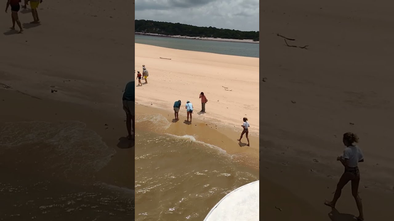 Santar&eacute;m Alter do Ch&atilde;o passeios para visitantes