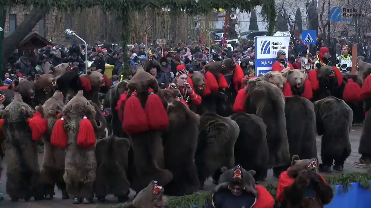 Ursul din Zavoi 2018