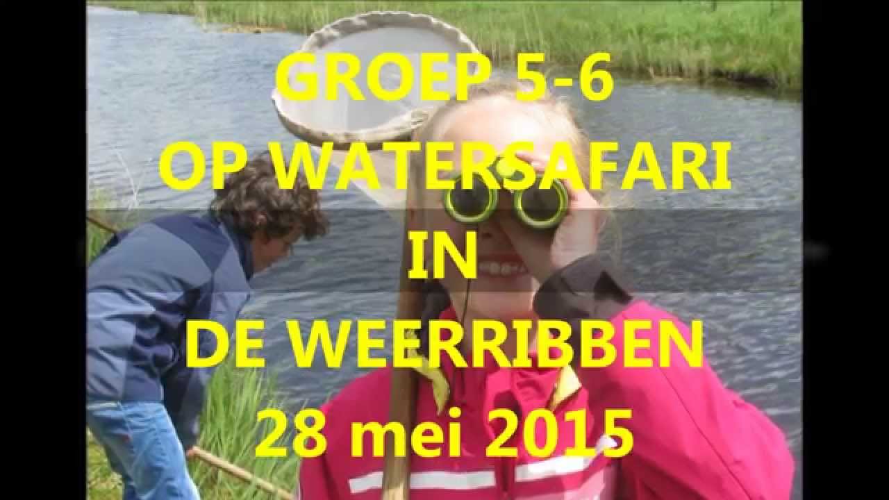 GROEP 5-6 OP WATERSAFARI