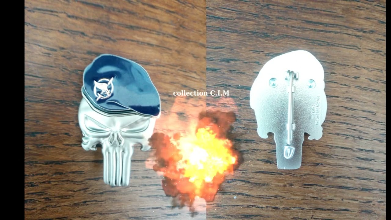 collection insignes militaire