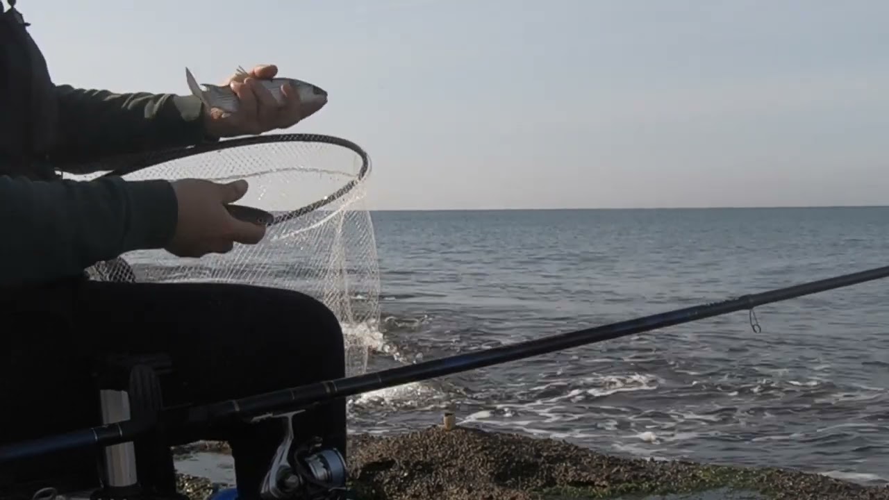 Pesca con la bolognese dalla scogliera.