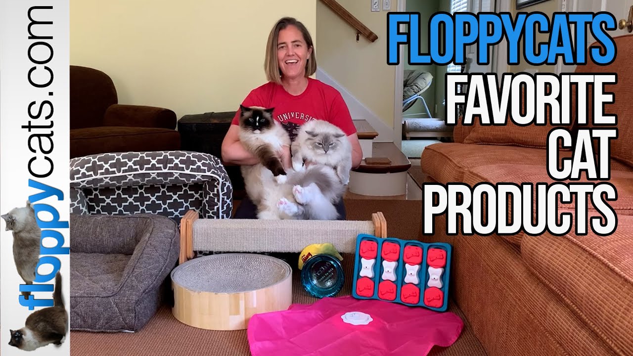 Floppycats' Favorite Cat Products: The Best Cat Products of 2023!