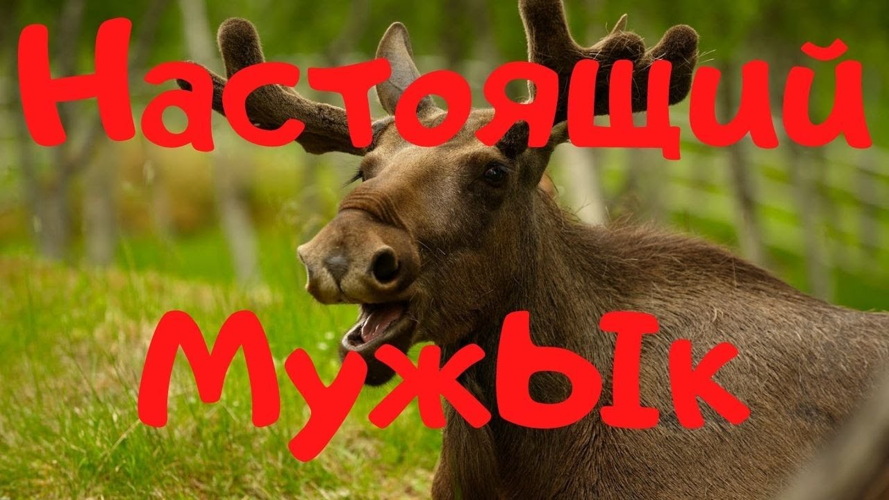 Не становитесь Настоящими Мужчинами