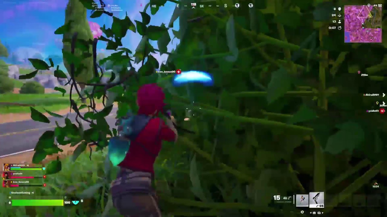 Fortnite