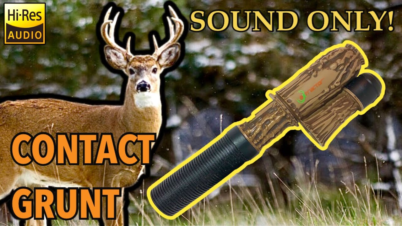 Sound Only: Young Buck Contact Grunt Flextone &ldquo;The Extractor&rdquo; Deer Call