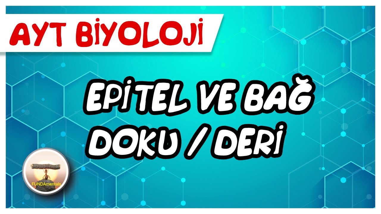 AYT Biyoloji | Epitel ve Bağ Doku / Deri #sayfa48
