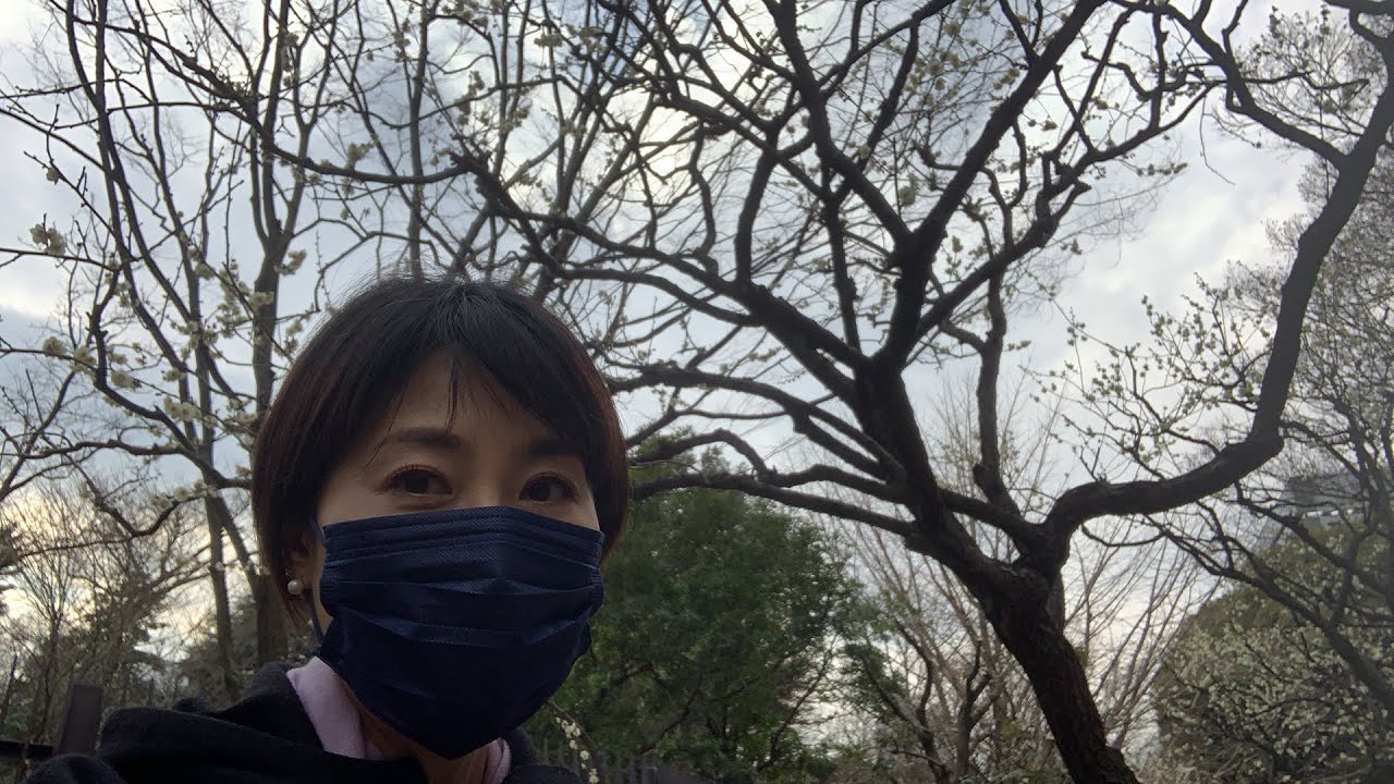 @Shinjuku Gyoen