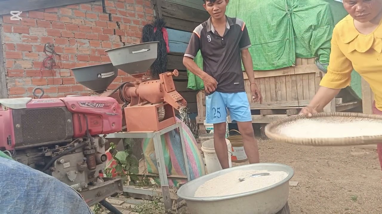 Today we run out of rice to grind riceថ្ងៃនេះអស់អង្ករ ត្រូវកិនស្រូវ