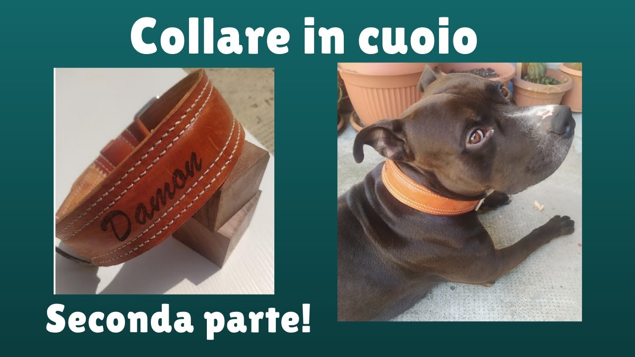 Collare in cuoio con cuciture decorative! Parte due