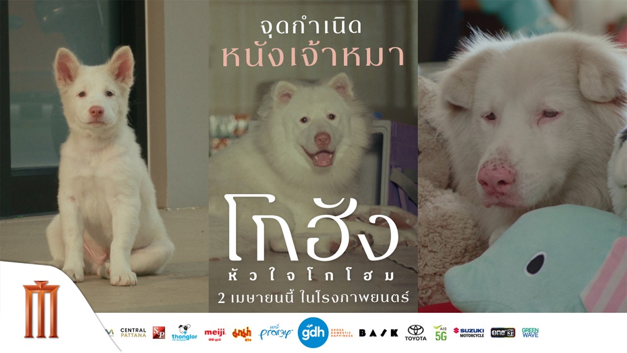 จุดกำเนิดหนังเจ้าหมา | โกฮัง..หัวใจโกโฮม