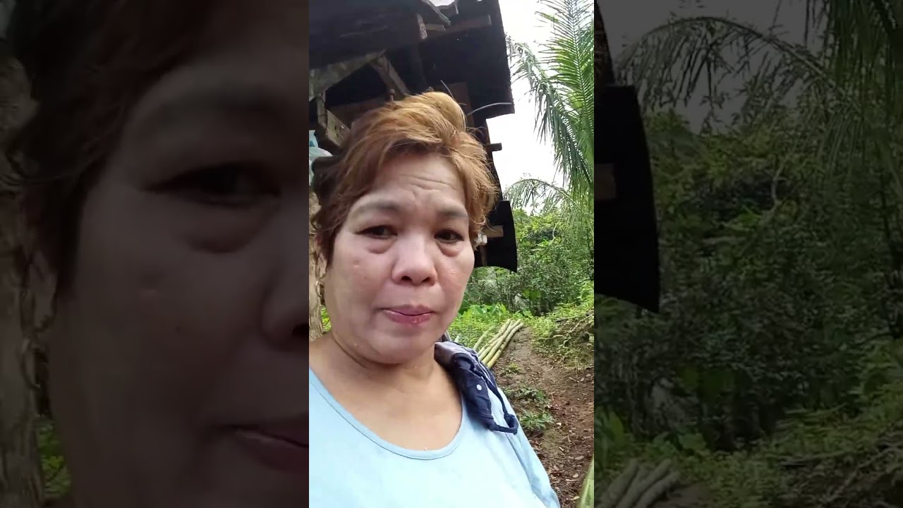 Pag biak ng kawayan para sa gagawing kusina...