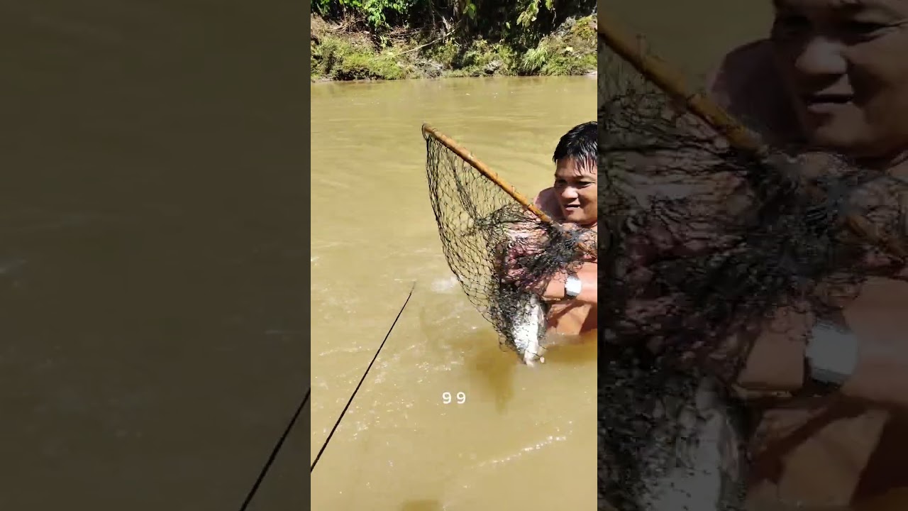 Ikan semah kena pancing rawai 😱#RESKINCHANNEL 