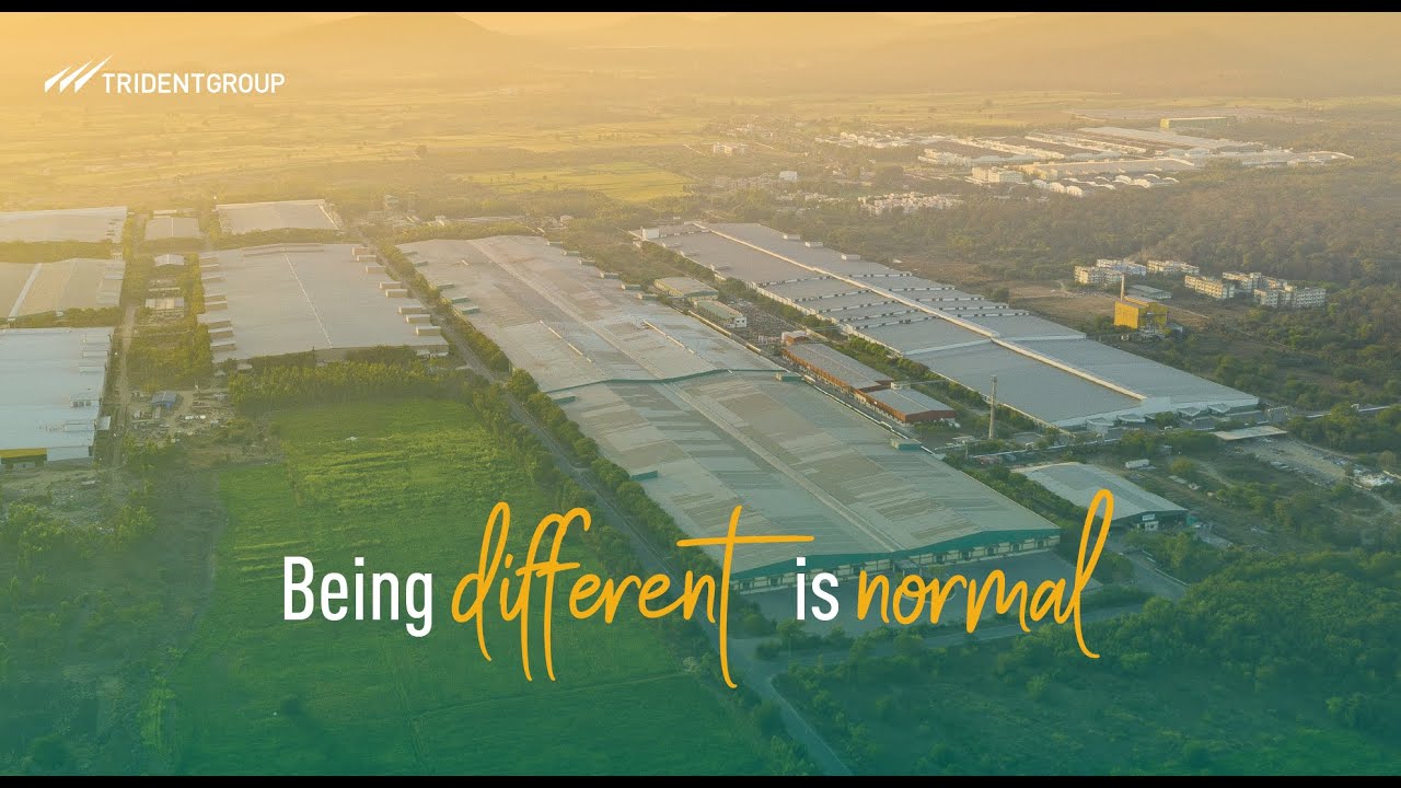 Trident Group- Being Different Is Normal