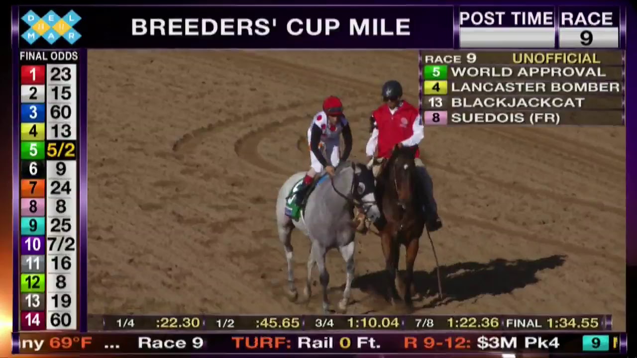 LIVE The Breeders' Cup World Championships Saturday