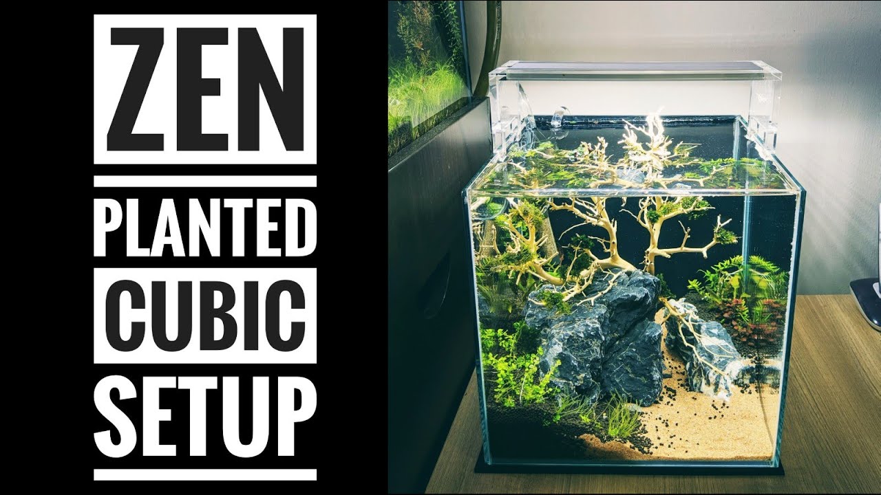 Aquascape Tutorial - 