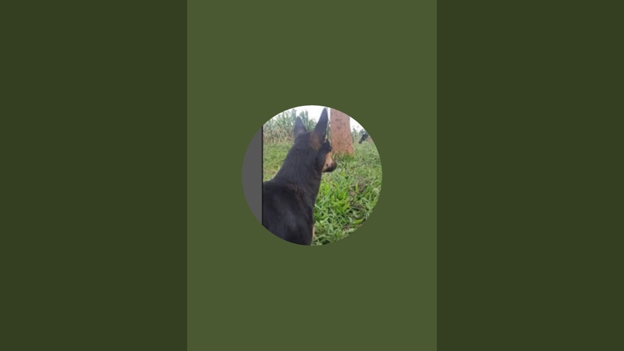 ^ ಹಳ್ಳಿ_ ಹುಡುಗ_ ಸಾಗರ್ ^ is live