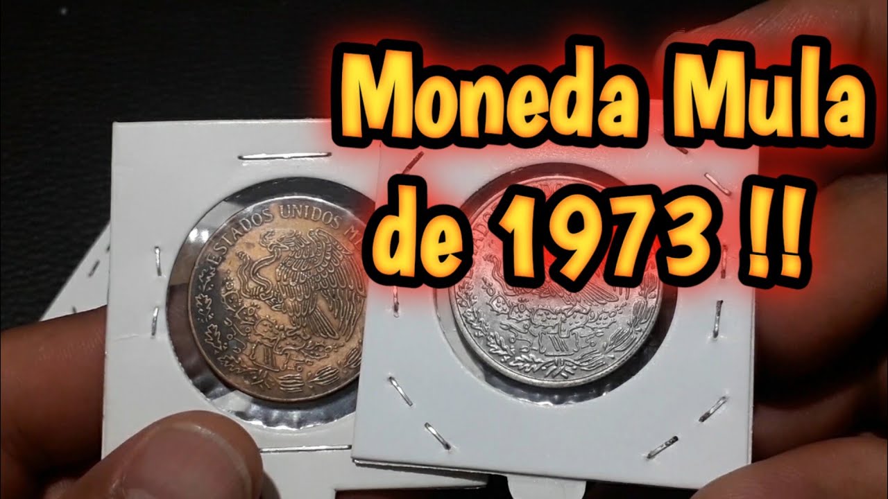 Moneda Mula 20 centavos de 1973!!