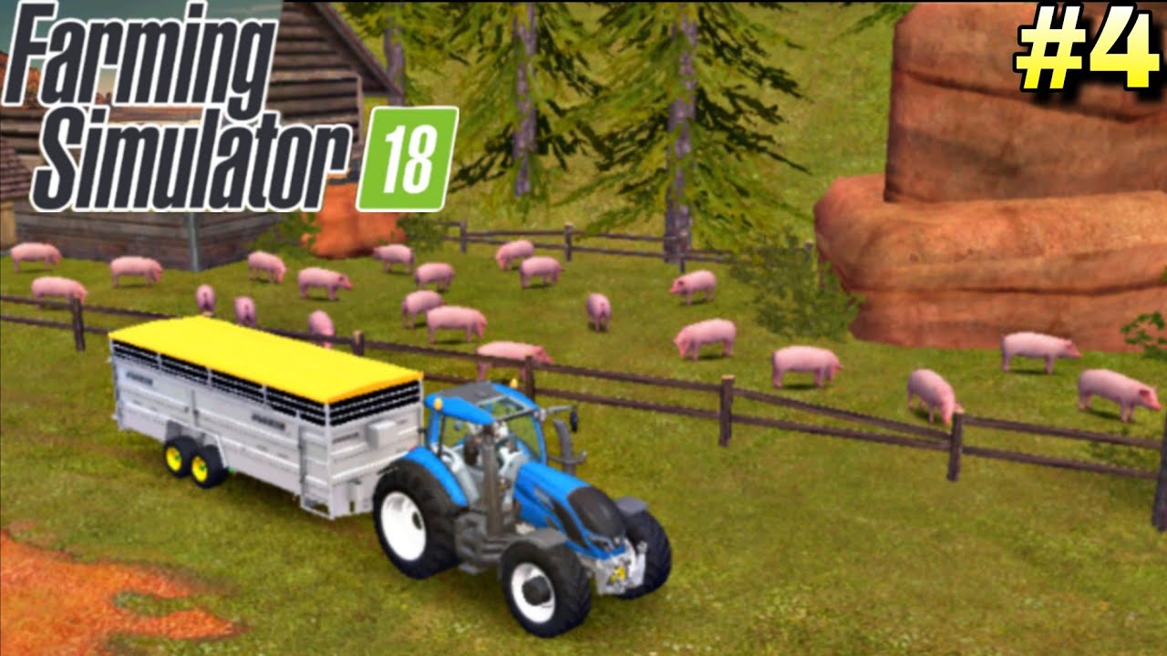 Comprei 25 porco e alimentei com milho e canola! FS 18