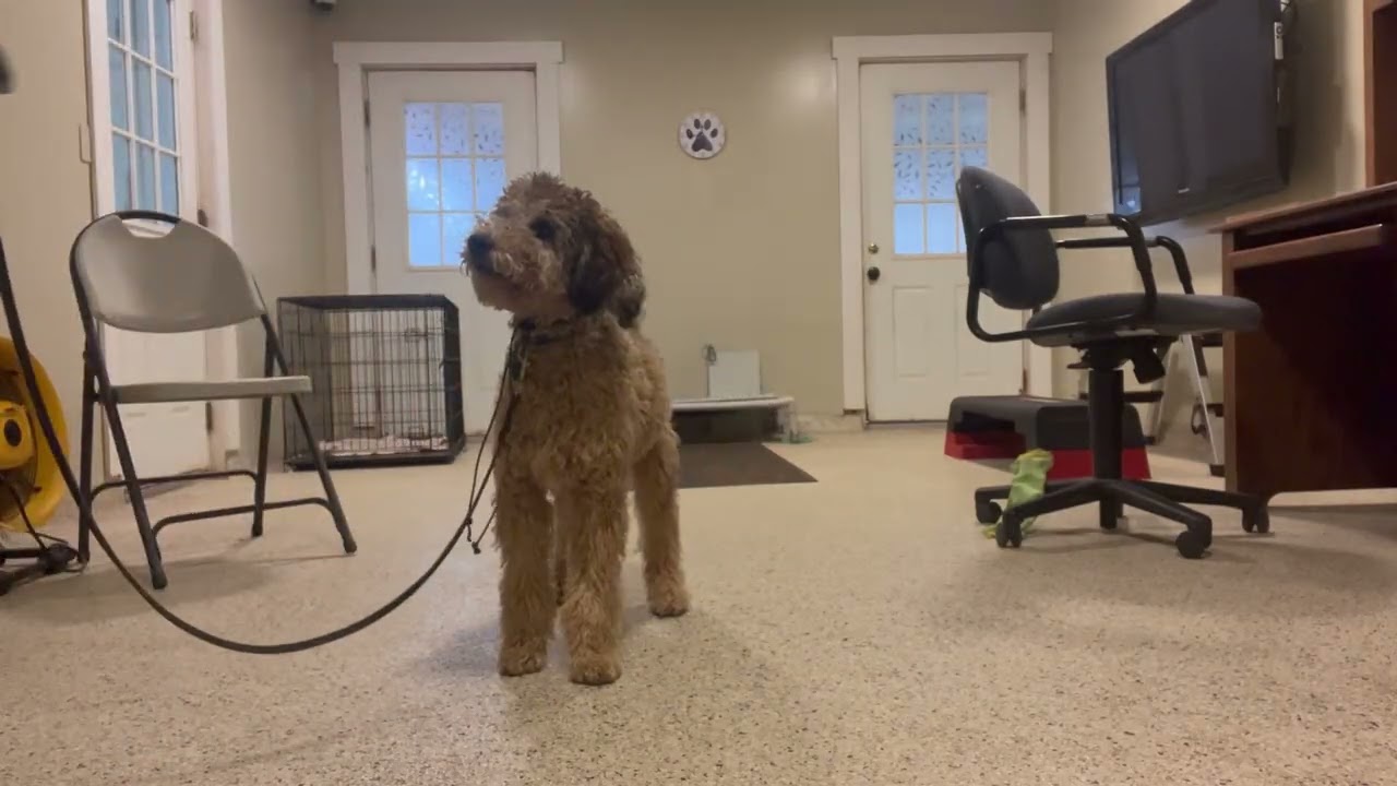Murphy 02 17 26