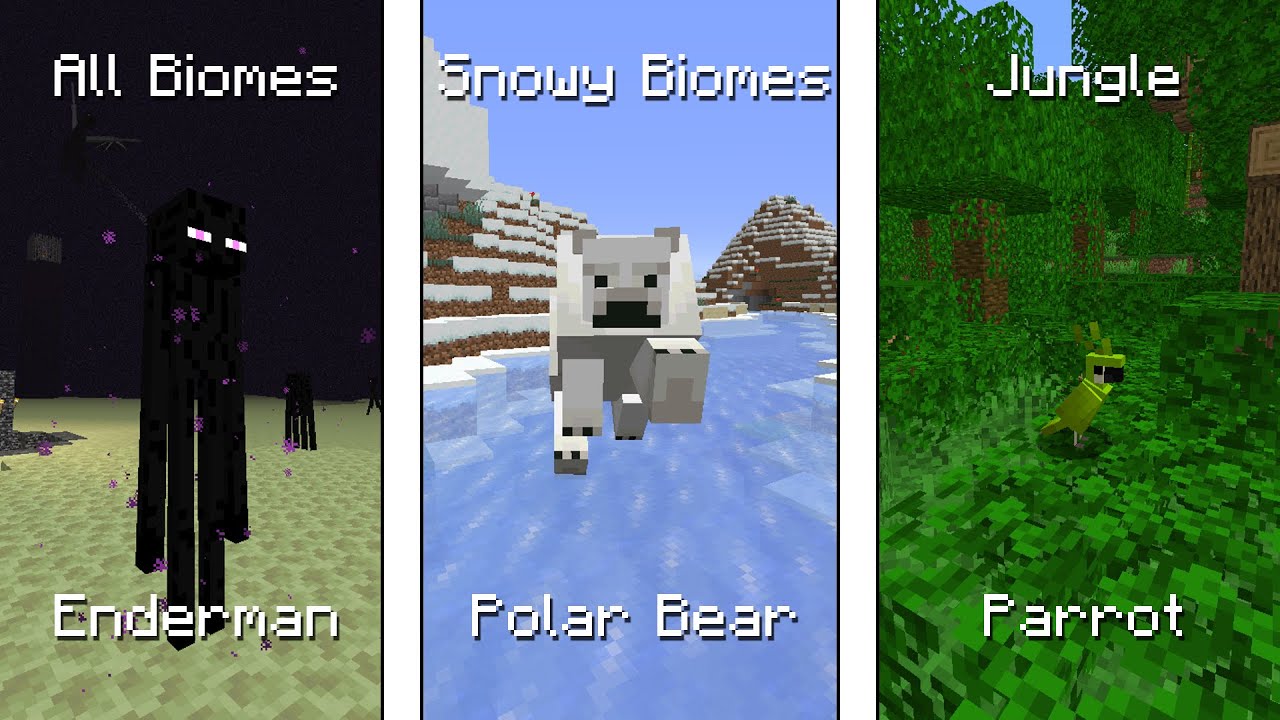 Minecraft Mobs And Their Homelands #2