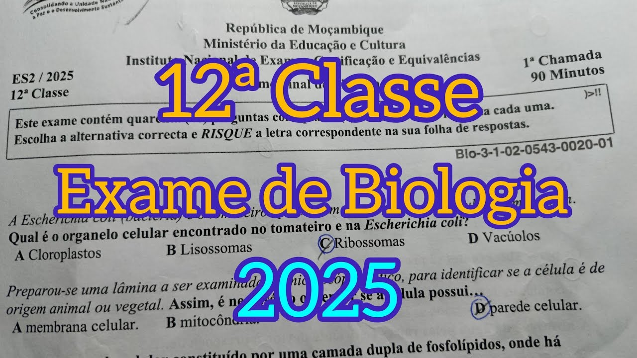 EXAME RESOLVIDO DE BIOLOGIA 12ª CLASSE 2025