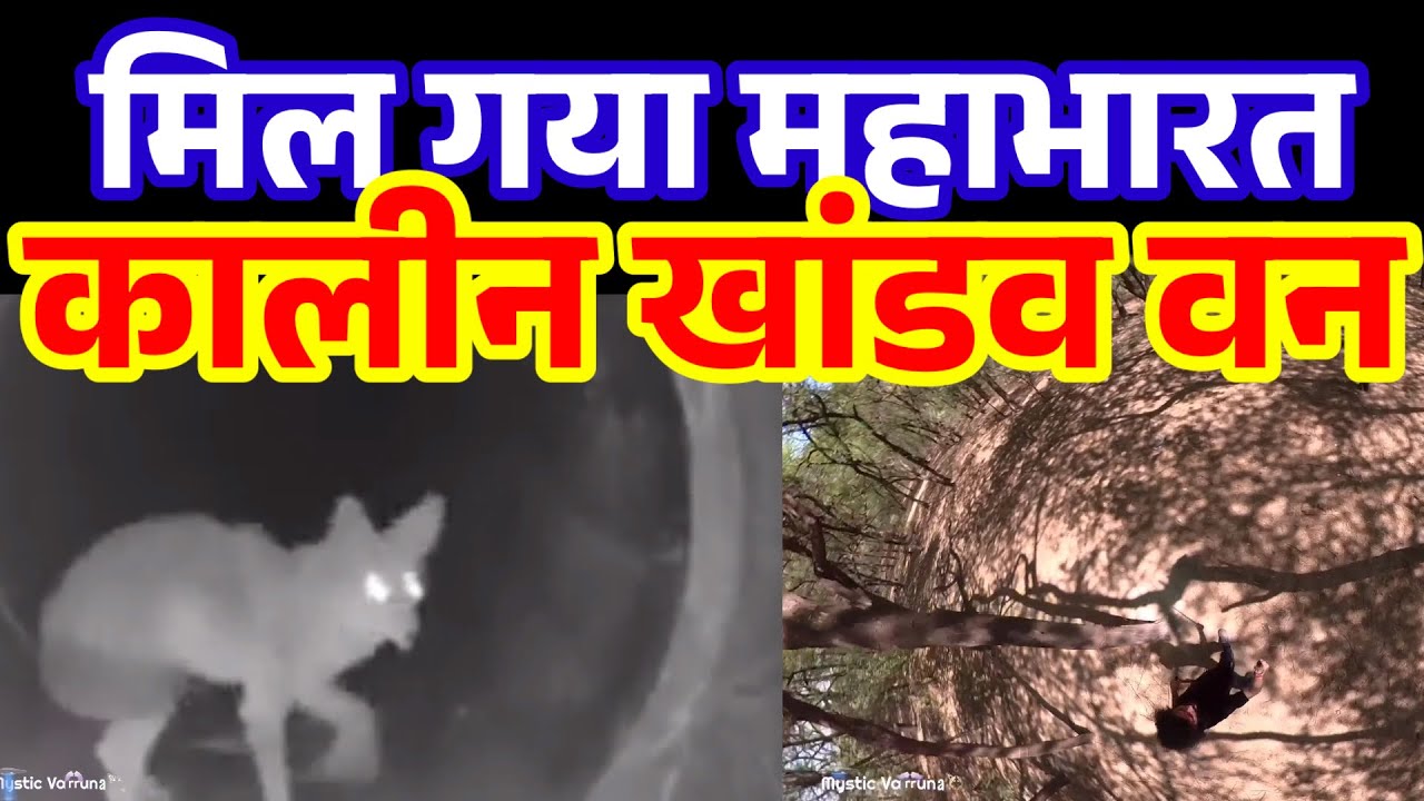 Mil gya Khandav Van || 5500 Years Old Mahabharat Era “Khandav Van” Found #Mayasur #Ramayanevidence