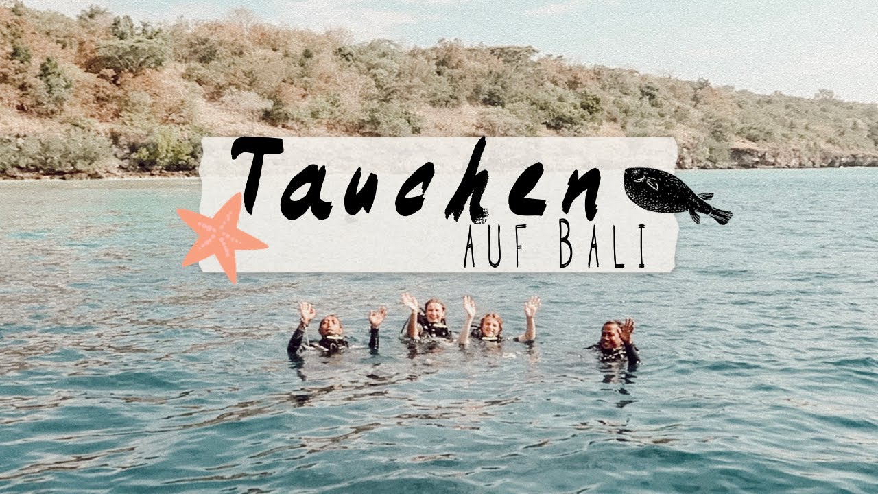 Touristenfalle ?! Tauchen auf Bali // Pauxmeli