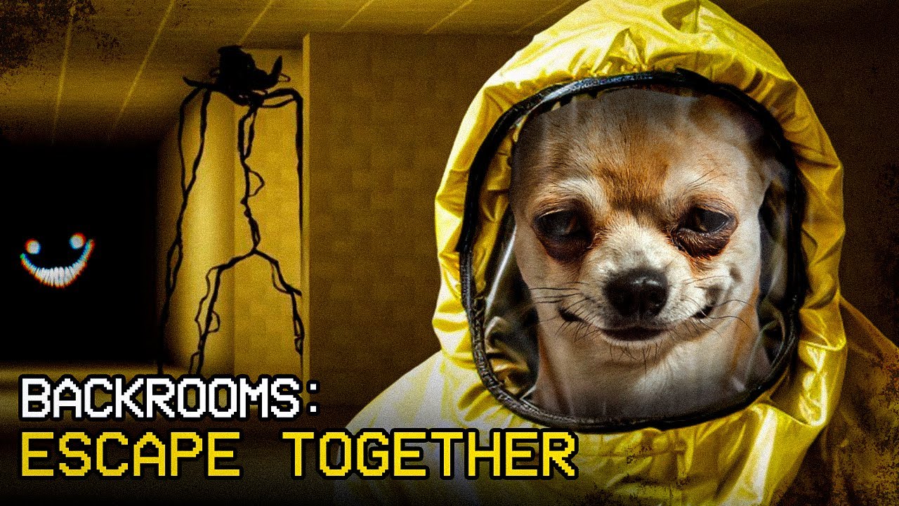 PERDIDO EN LAS BACKROOMS