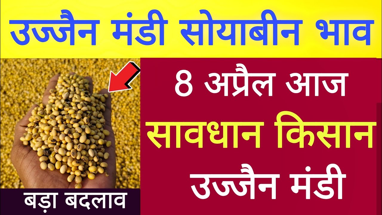 Soyabean Bhav Ujjain Mandi l 08 April 2026 l Ujjain Mandi Bhav Today l Live Bhav
