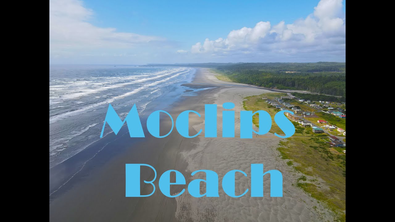 Beach Brains 2020 Vol. I - Moclips Washington