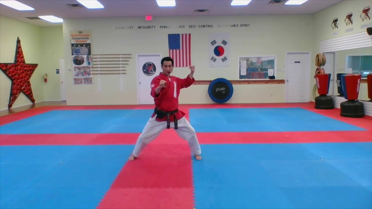 Yellow Belt 10 Basic Blocking