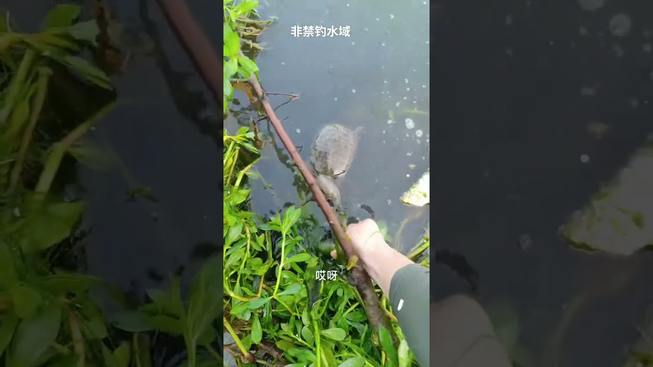 中货 #fishingequipment #winterfishing #icefishing