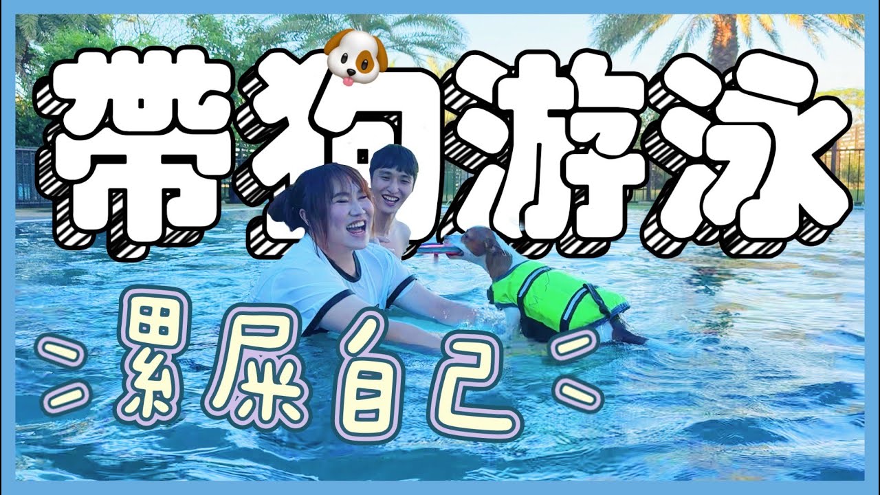 帶狗去玩水游泳！被網友罵對荷包蛋很不耐煩🙄！─黃小愛LittleLove