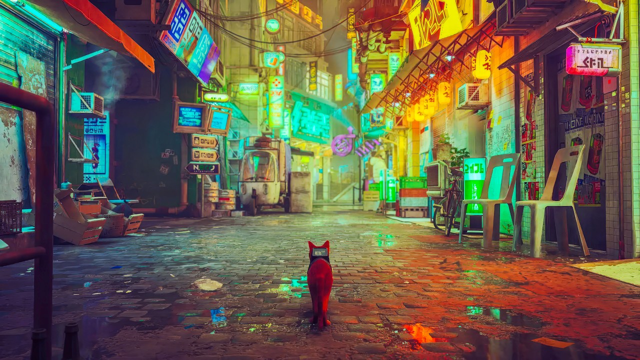 Bir Kedinin Hikayesi - Stray Türkçe