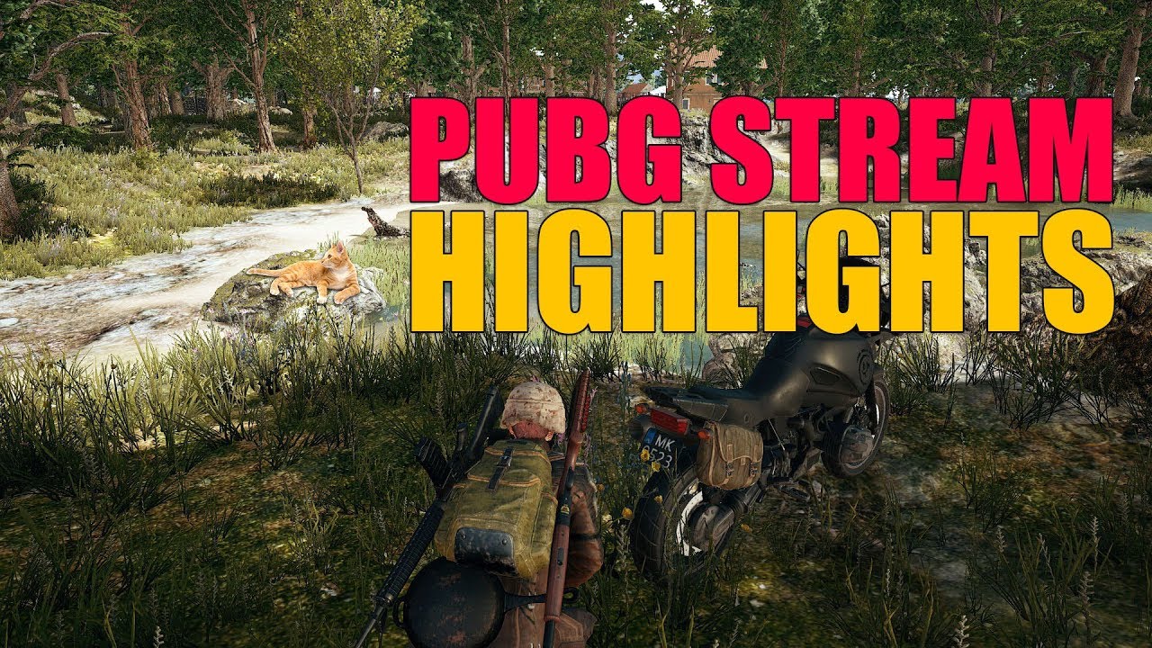 PUBG HIGHLIGHT TAMIL CAT STORY + CHICKEN DINNER | TAMILAN J | PLAYMONK