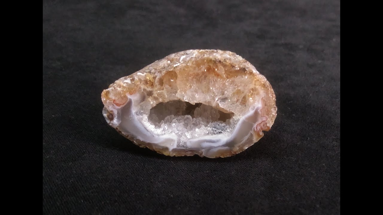 Septaria, pleurotomaria i nowe minerały
