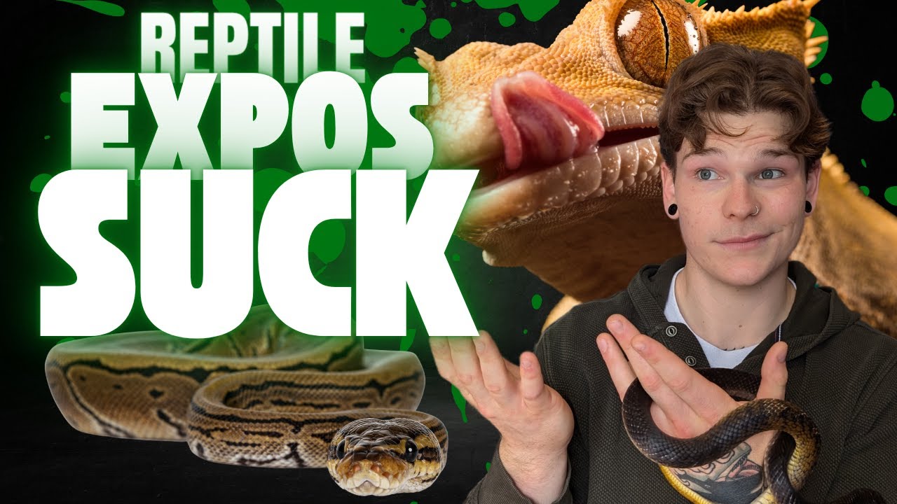 Why I Don't Attend REPTILE EXPOS Anymore!